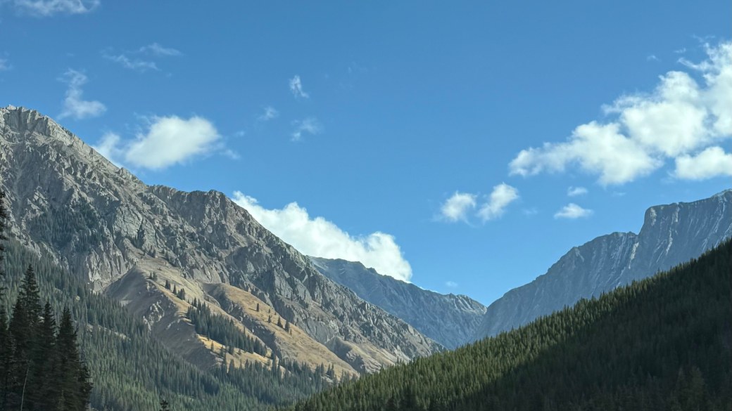 Safe Driving in Montana